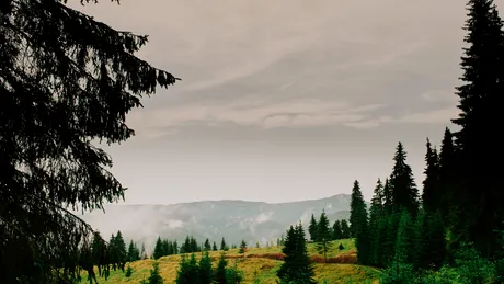 Bilbor – între legendă și adevăr istoric