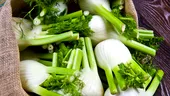 Fenicul – proprietăţi nutritive, beneficii şi cum să-l găteşti