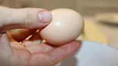 Cum să verifici ouăle dacă sunt proaspete! Trucuri rapide pentru siguranța alimentară în bucătărie