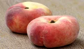 Naturale sau concepute în laborator? Ce sunt piersicile plate și cât de sănătoase sunt, în realitate