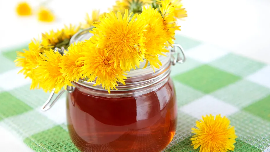 Cura cu sirop de păpădie: beneficii, rețetă, mod de administrare