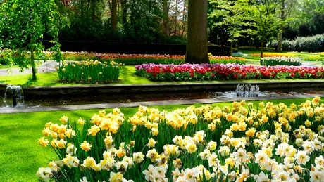 Ce să faci în grădina ta în aprilie pentru o curte verde și frumoasă la vară