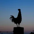 „De la cocoși la knocker-uppers”: cum își organizau oamenii trezirea înainte de ceasurile deșteptătoare