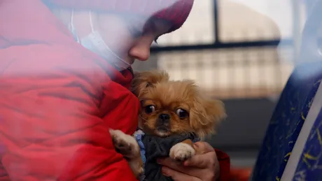 Cum arată situația refugiaților din Ucraina. Fotografii emoționante