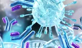 Anticorpii dezvoltaţi în urma infecţiei cu noul coronavirus, o dilemă fără răspuns