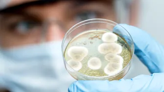 Bacteria care a eliminat complet tumorile după o singură doză