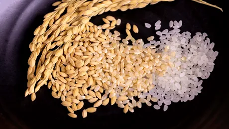 Ce se întâmplă în organismul tău atunci când renunți la cerealele rafinate