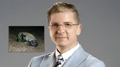 Cum arată mușcătura de pește-iepure, specia care a pus în alertă turiștii din Grecia?