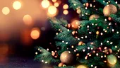 Când se despodobește bradul. Cea mai bună zi pentru noroc și prosperitate