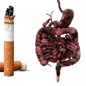 Fumatul – cum îți distruge stomacul și ficatul. Fiecare țigară îți răpește 11 minute din viață
