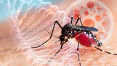 Febra dengue a scăpat de sub control într-o regiune din Italia, avertizează epidemiologii