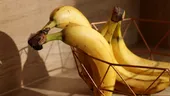 Mască de față cu banană pentru piele uscată. Ce efect poate avea și cum o prepari corect