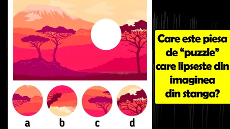 Test de inteligență | Care e piesa de 