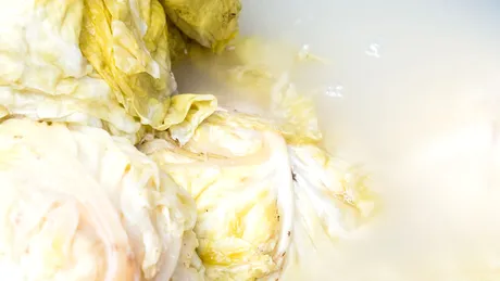 De ce nu se acrește varza după ce ai pus-o în butoi? Trucuri folositoare pentru ca varza murată să iasă perfect