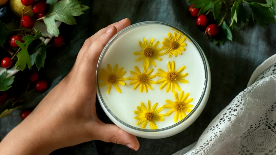 Laptele bătrânului: ce plantă poate înlocui lactatele la bătrânețe, conform medicului Elena Armenescu