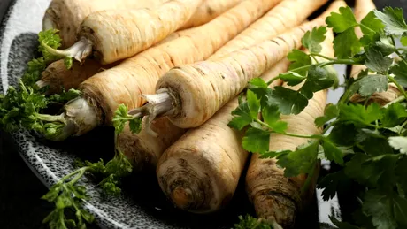 Cum deosebești păstârnacul de rădăcina de pătrunjel. La ce să fiți atenți