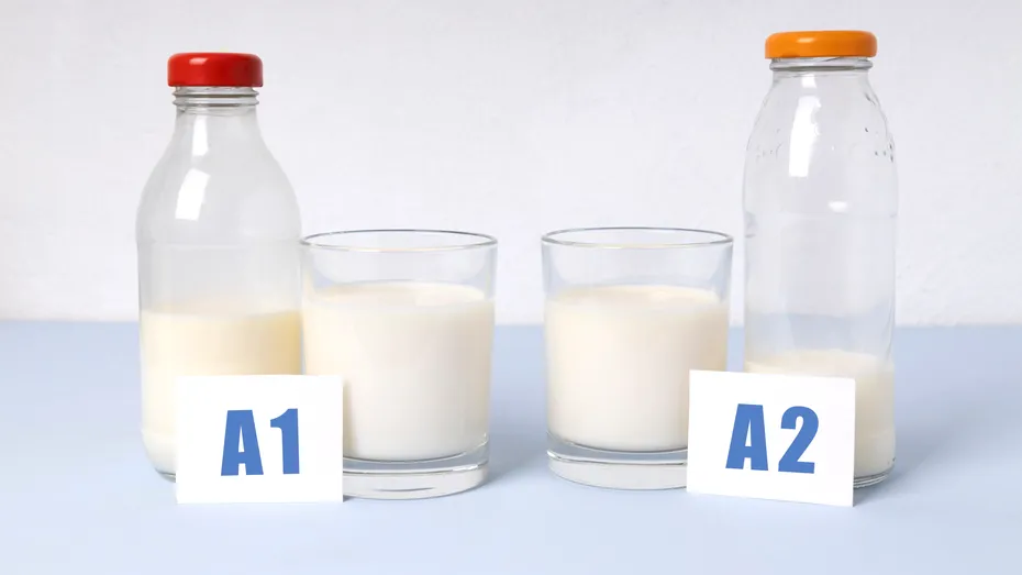 Lapte A1 și A2: există vreo diferență? Ce spun studiile despre aceste proteine din lapte