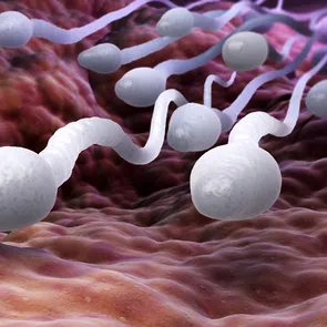Tratament pentru spermatozoizii „leneși”. Cum poate fi îmbunătățită calitatea materialului seminal?