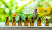 Cele trei uleiuri esențiale care nu trebuie să-ți lipsească vara. Protejează de insecte, răcoresc și ajută la relaxare