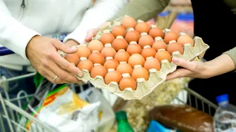 Ouăle din supermarket, sub lupă înainte de sărbători. Ce au descoperit experții și care sunt cele mai sigure produse