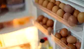 Câte zile poți ține ouăle la frigider? Modul corect pentru a le depozita în siguranță