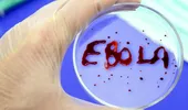 Epidemia Ebola a fost oprită?