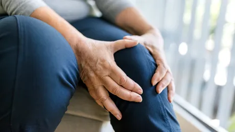 O plantă braziliană străveche ar putea fi soluția miraculoasă pentru durerile de genunchi