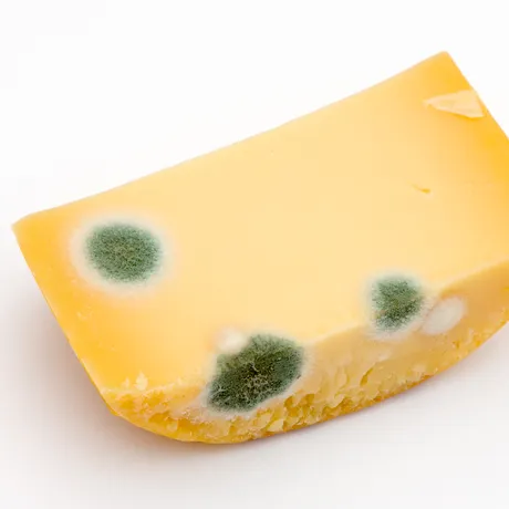 Dacă mucegăiește brânza în frigider este sigur să cureți partea stricată și să o mănânci?
