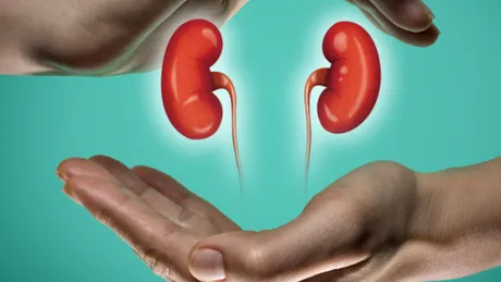 Ce legătură este între bolile de rinichi şi hipertensiunea arterială?