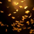 Moliile fug de acest tip de lumină! Schimbarea simplă care îți poate transforma casa într-un loc neatrăgător pentru insecte