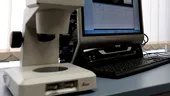 Cercetări pentru generarea unui cortex cerebral uman în laborator, derulate de un neurobiolog român