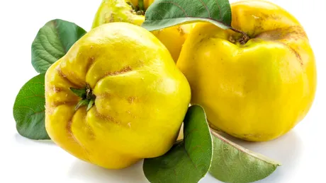 10 motive să mănânci gutui. Beneficiile miraculoase ale acestor fructe de sezon delicioase