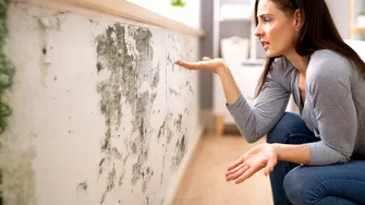 Expunerea la mucegai: riscurile pentru sănătate și cum te protejezi