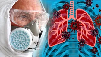 OMS avertizează că ar putea apărea noi cazuri de Hantavirus după focarul de pe nava MV Hondius. O pacientă din Franța este în stare gravă