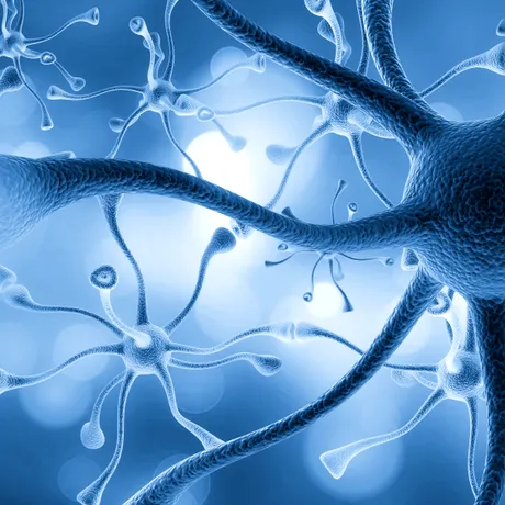 O nouă afecțiune neurologică rară, descoperită recent. Doar 13 cazuri confirmate!