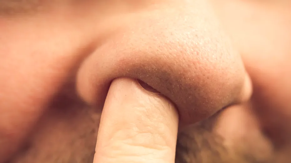 Scobitul în nas ar putea avea o legătură surprinzătoare cu Alzheimer – ce arată un studiu pe șoareci