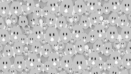 Test de logică | Găsiți elefantul din cameră! Geniile îl văd în cel mult 7 secunde