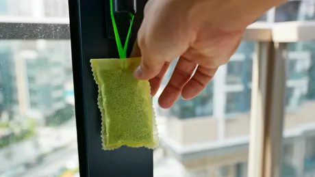 Soluţii naturale ANTI-INSECTE. Cum scăpăm de muşte, ţânţari, furnici și gândaci pe timp de vară?