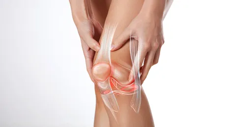 Leziunile de menisc. Ghidul complet pentru înfruntarea provocării genunchiului