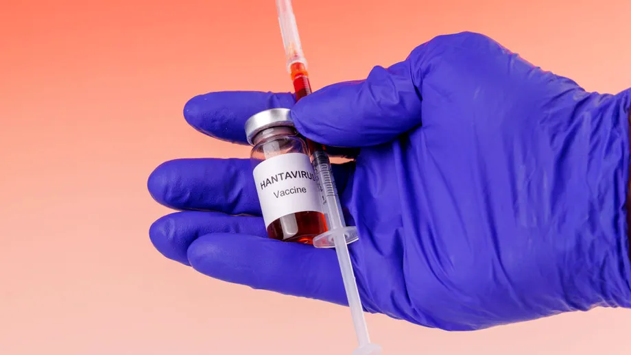 Noi informații despre bărbatul cu hantavirus confirmat la Arad! Tânărul de 25 de ani ar fi contractat o tulpină asociată rozătoarelor