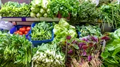 Piața Obor, „trufandaua” Europei. O jurnalistă străină laudă verdețurile de sezon din România: „Noi nu mai avem salată verde în Anglia”