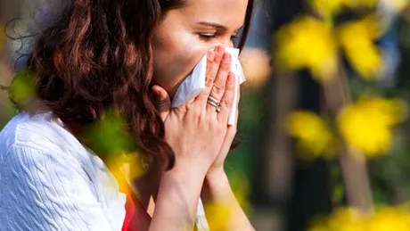 Alergia la ambrozie (cea mai alergenică buruiană) - simptome, diagnostic şi tratament