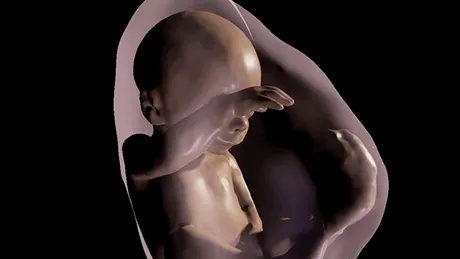 Imagini 3D cu bebeluşul din burtică, disponibile în viitorul apropiat!