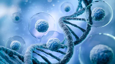 Celulele stem și importanța lor în tratamentul unor boli considerate incurabile