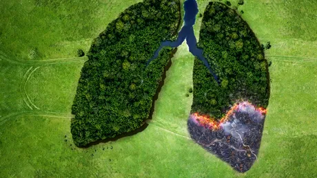 Cum este afectată sănătatea omului de incendiile de vegetație
