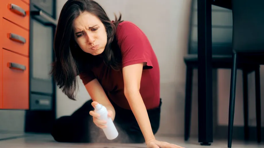 Spray-ul NATURAL pentru a scăpa definitiv de ploșnițe. Se prepară rapid și nu vei mai avea probleme