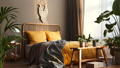 7 plante care nu trebuie ținute în dormitor. Greșeala pe care mulți români o fac