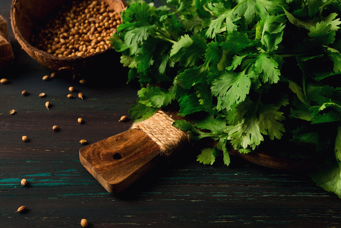 https%3A%2F%2Fwww.csid.ro%2Fwp content%2Fuploads%2F2026%2F06%2Fbunch of fresh cilantro coriander seeds on a dar 2026 03 24 09 07 47 utc