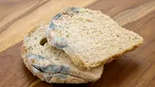 De ce să nu mănânci niciodată partea nemucegăită din pâine