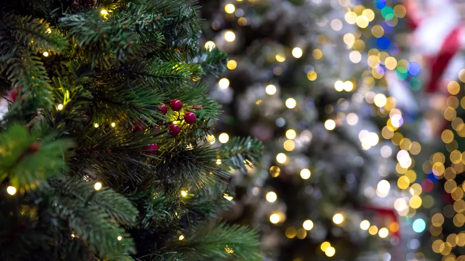 Când să ții luminițele din pomul de Crăciun pornite să nu îți umfle factura la curent